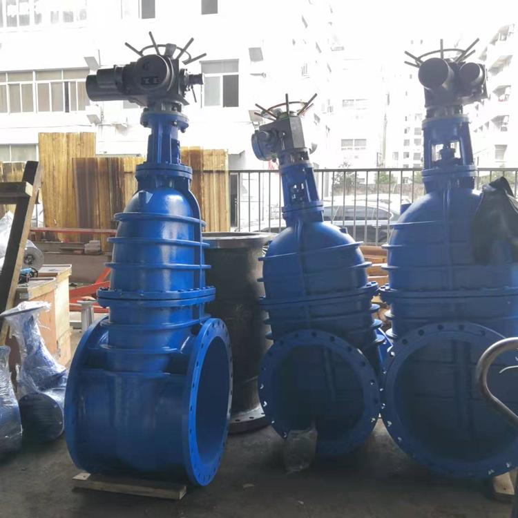 DN600电动软密封闸阀(自来水厂污水处置惩罚)